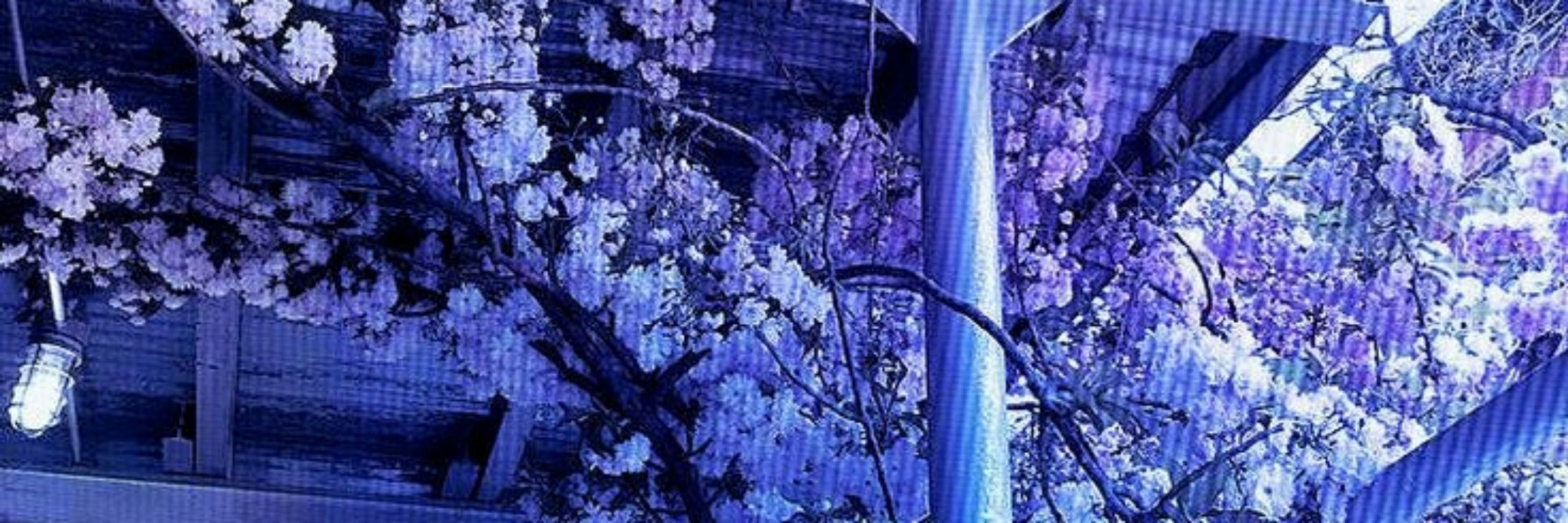 ¢໐rคl_คlliน๓