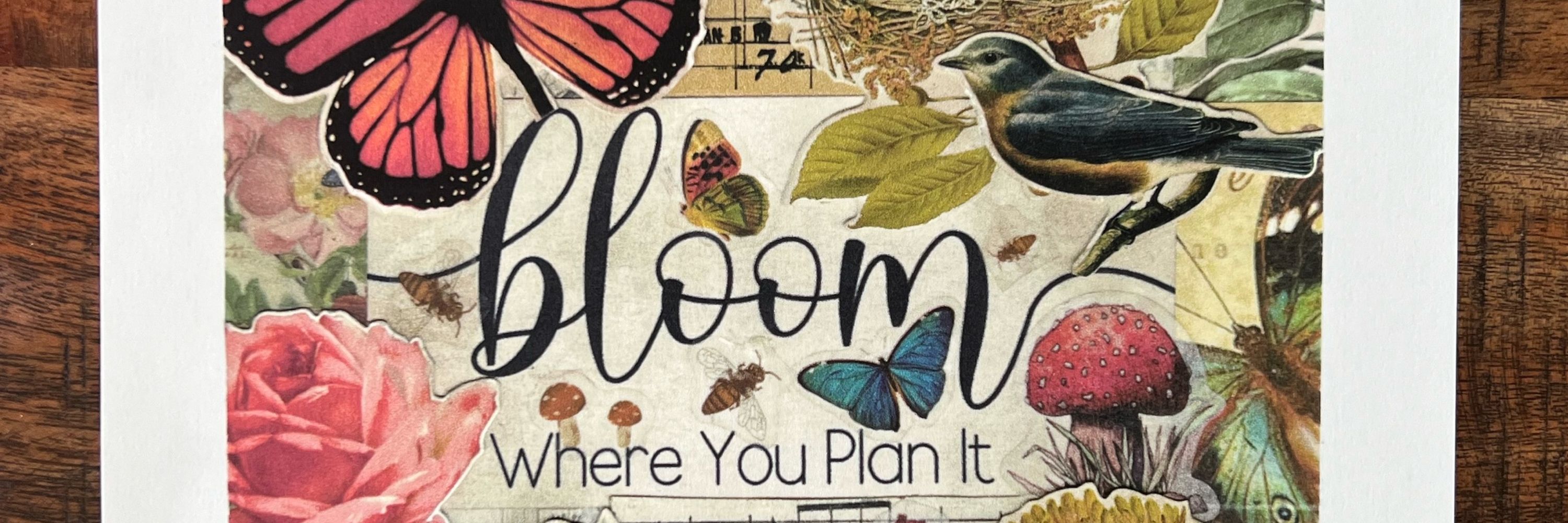 🦋Bloom Where You Plan It 🐝🪺🍄‍🟫🐦‍⬛