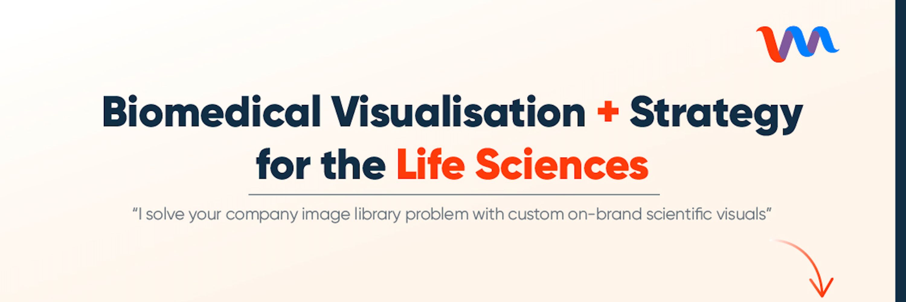 Visualmedics Studio