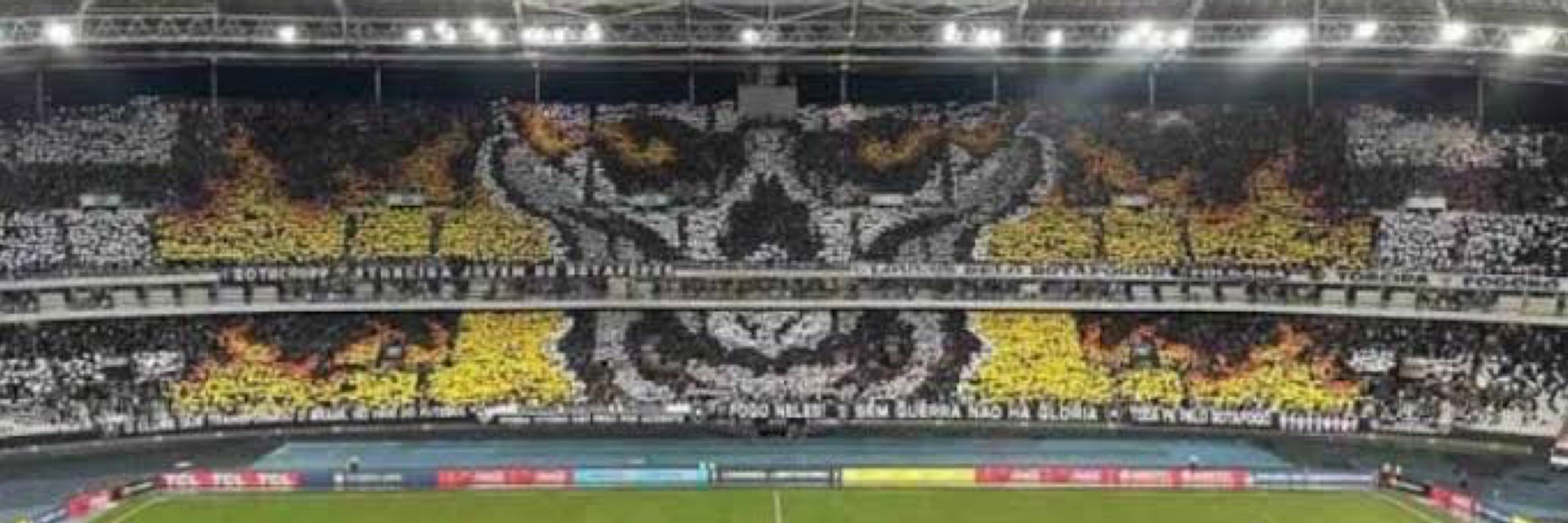 FRED BOTAFOGUENSE 