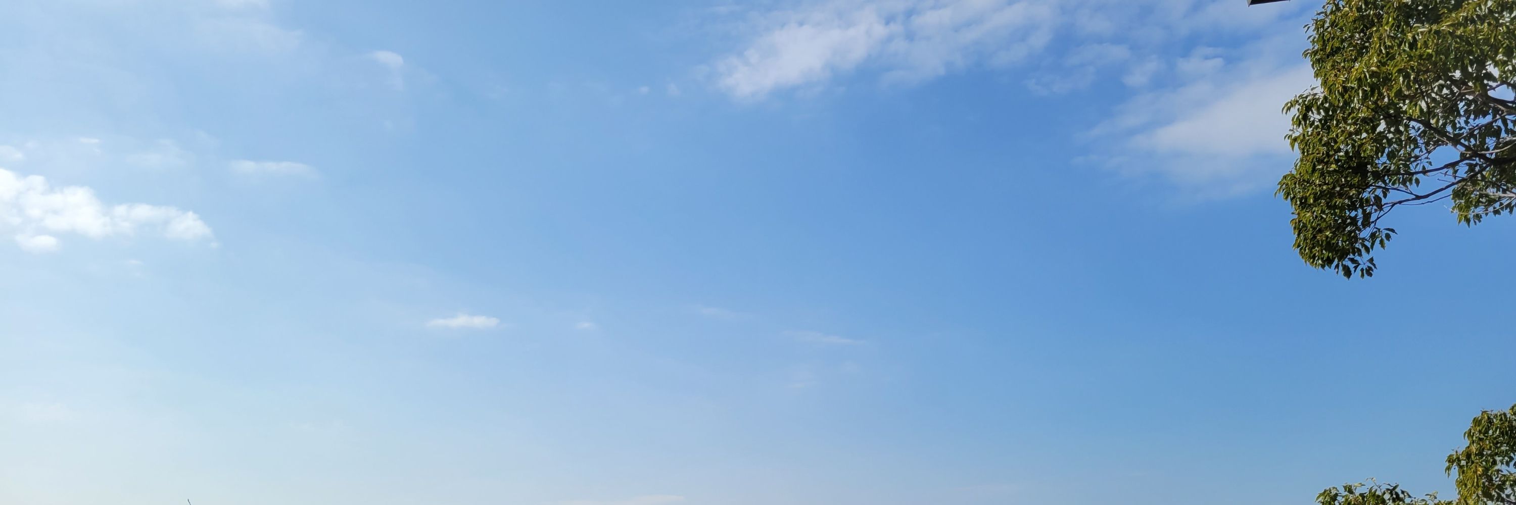 千野なぐ
