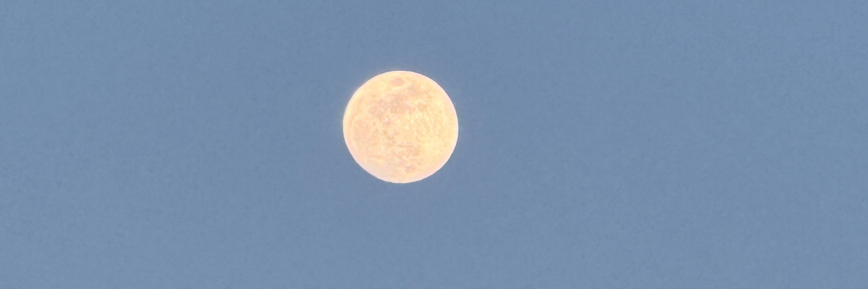 ☀️RoseBlot🌙