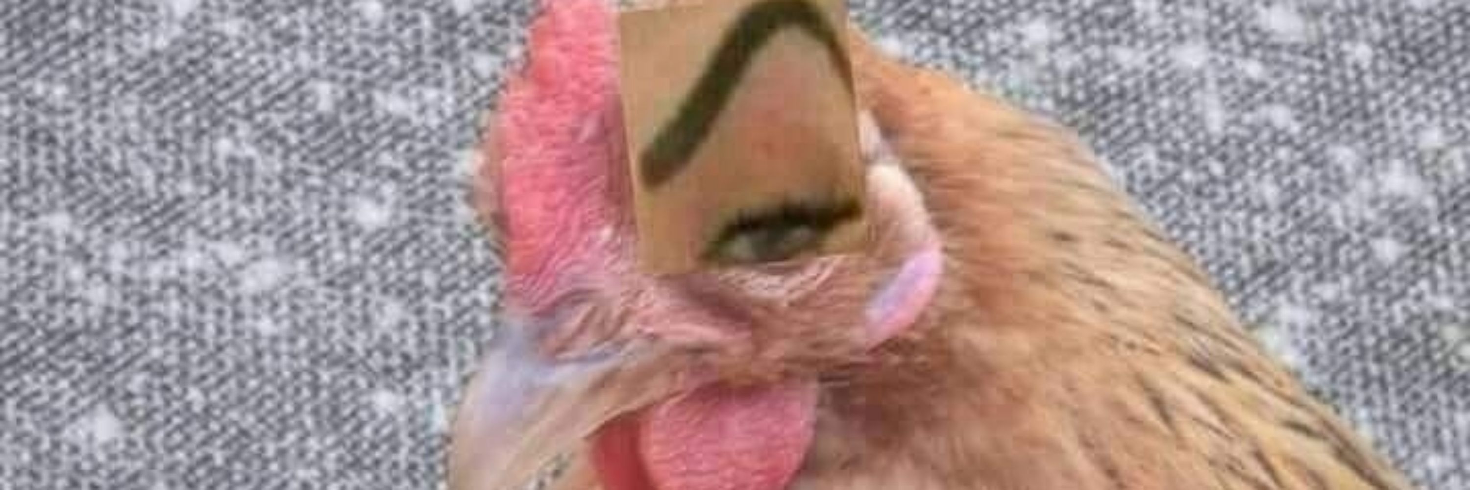 Y