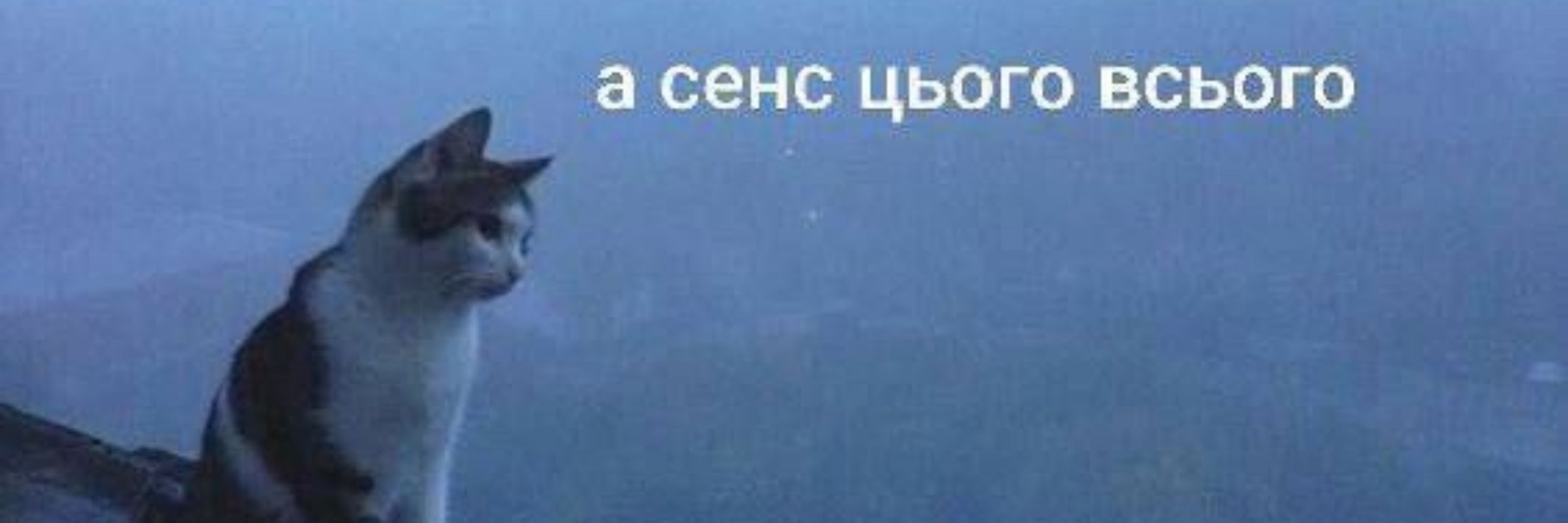 зайобенко