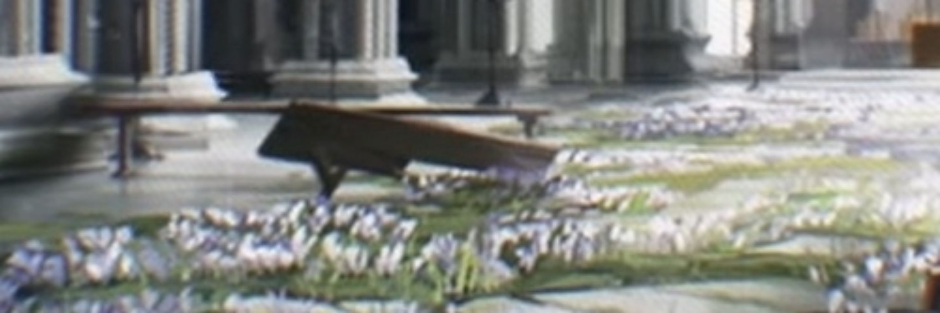 햄