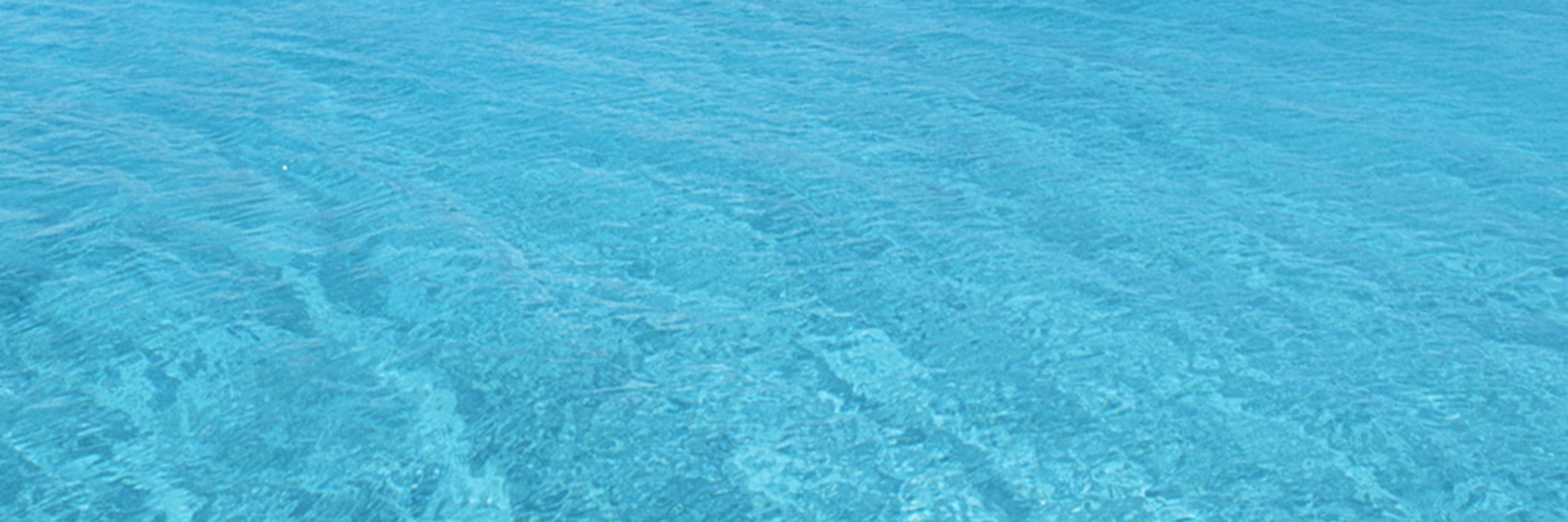 maya 🌊