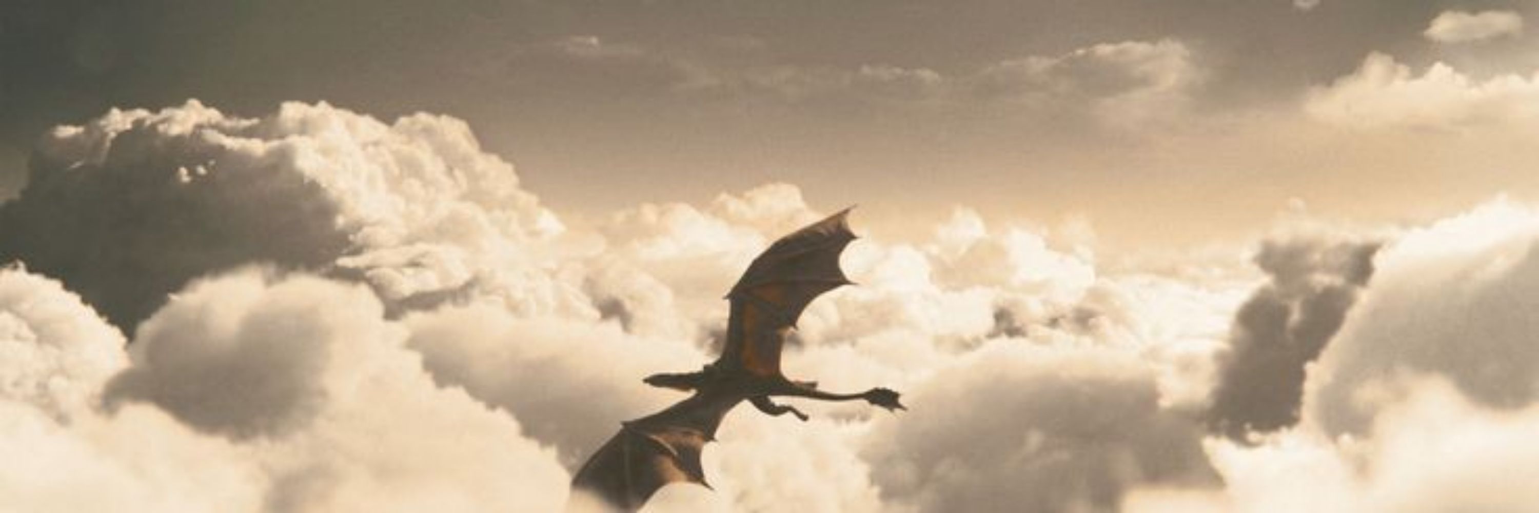 doca 🦇