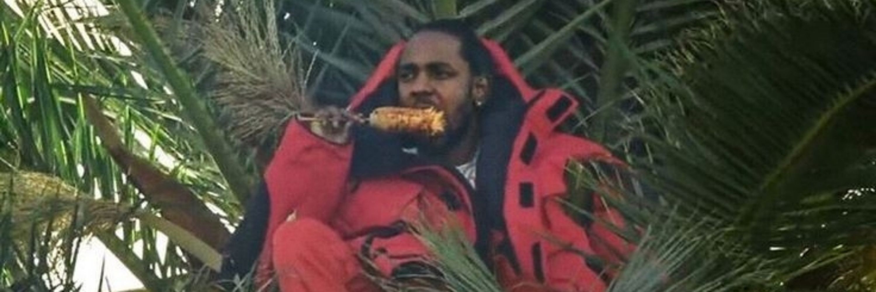 OG Liteskint Thundercat