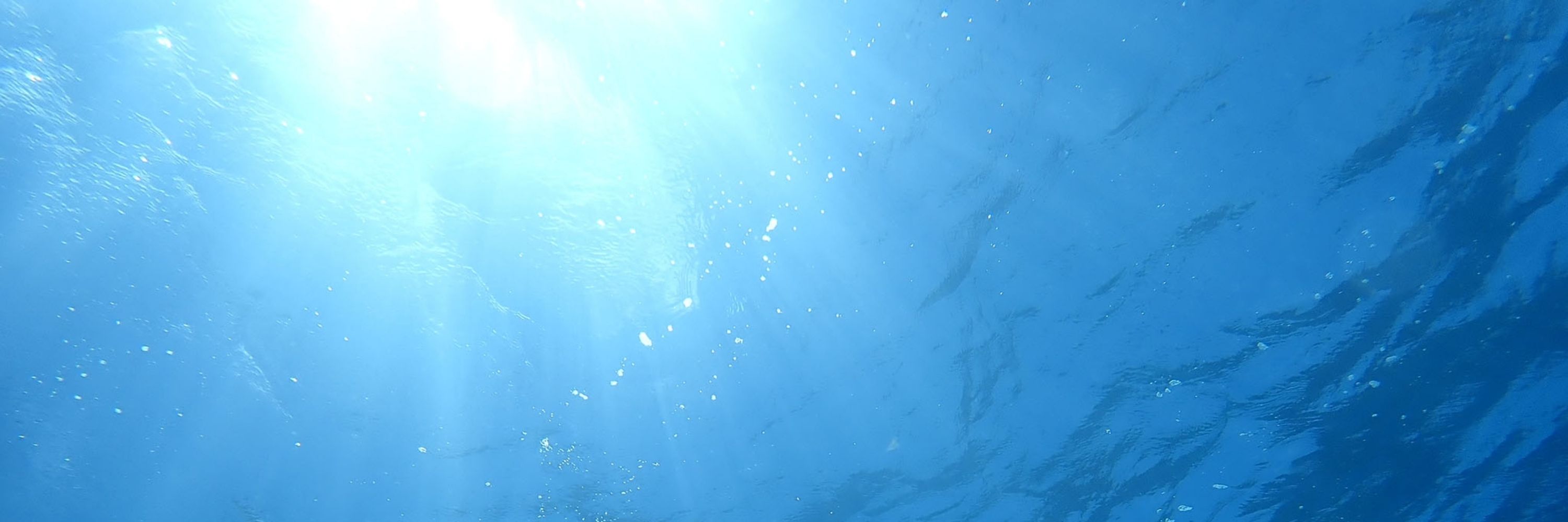 絶海