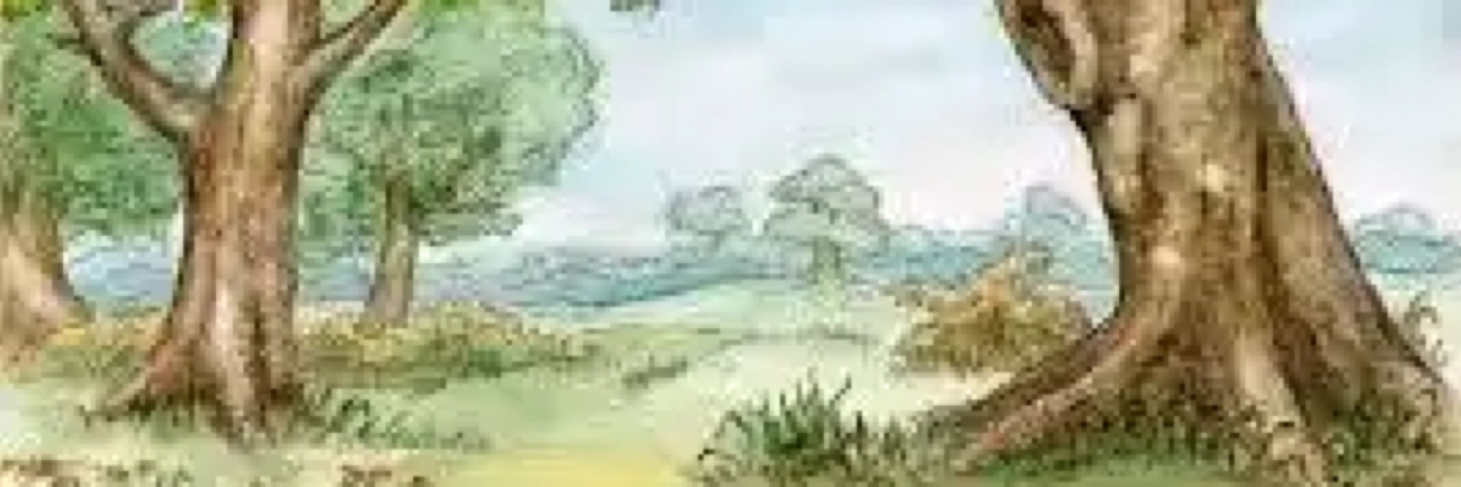 Brynjà