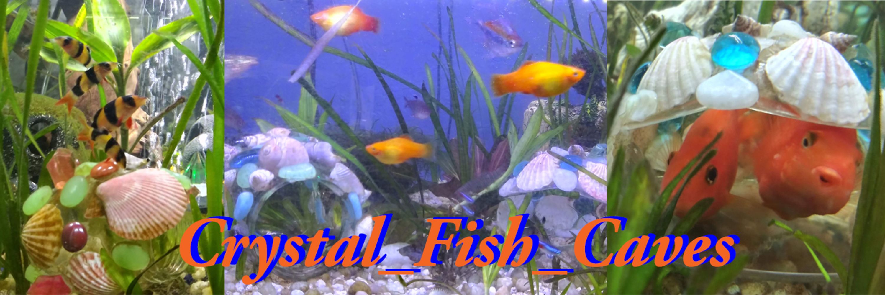 Crystal_Fish_Caves