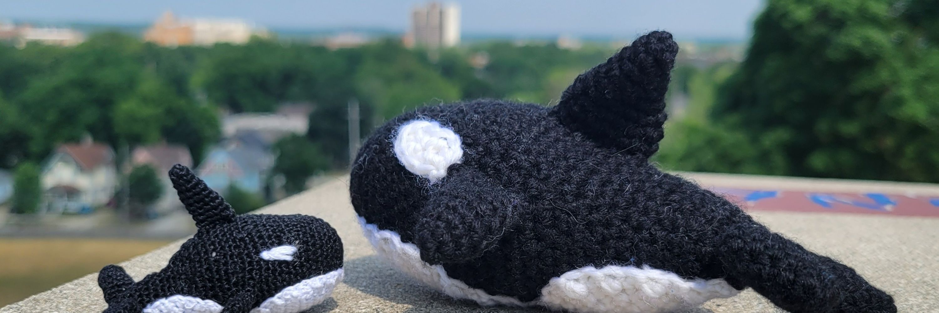 McStuffies, PhD 