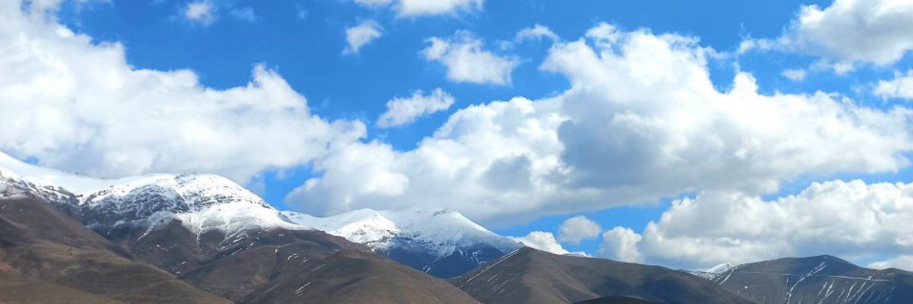 سید مصطفی هاشمی زاده