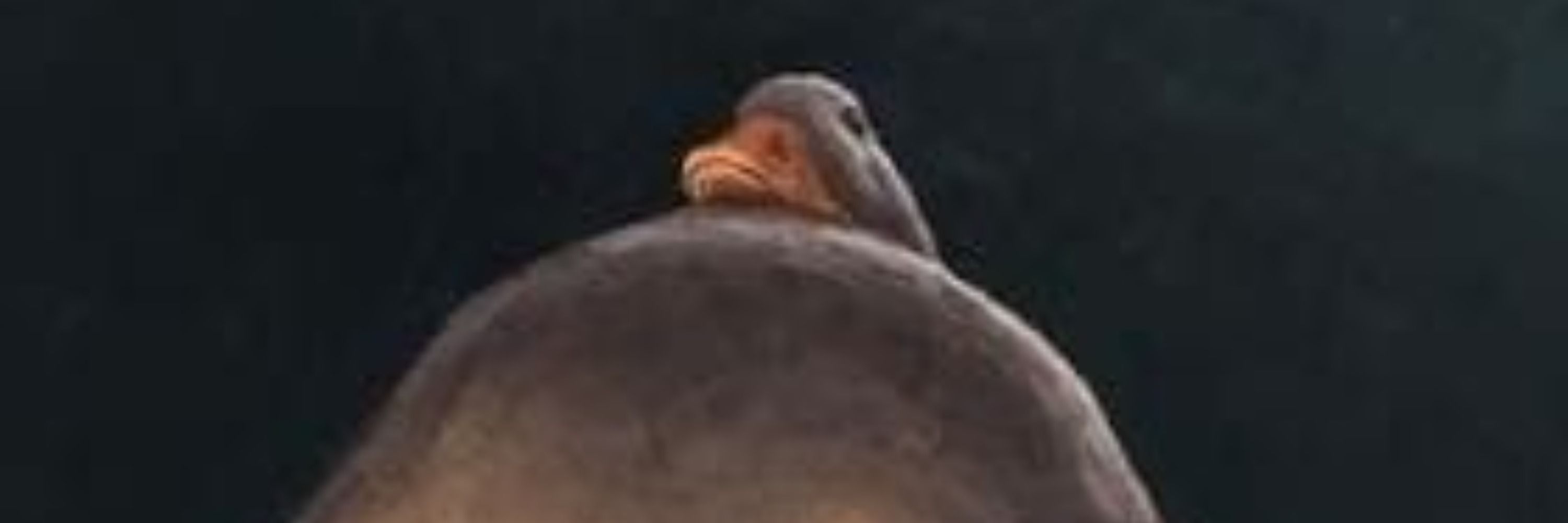 𝕁𝕍