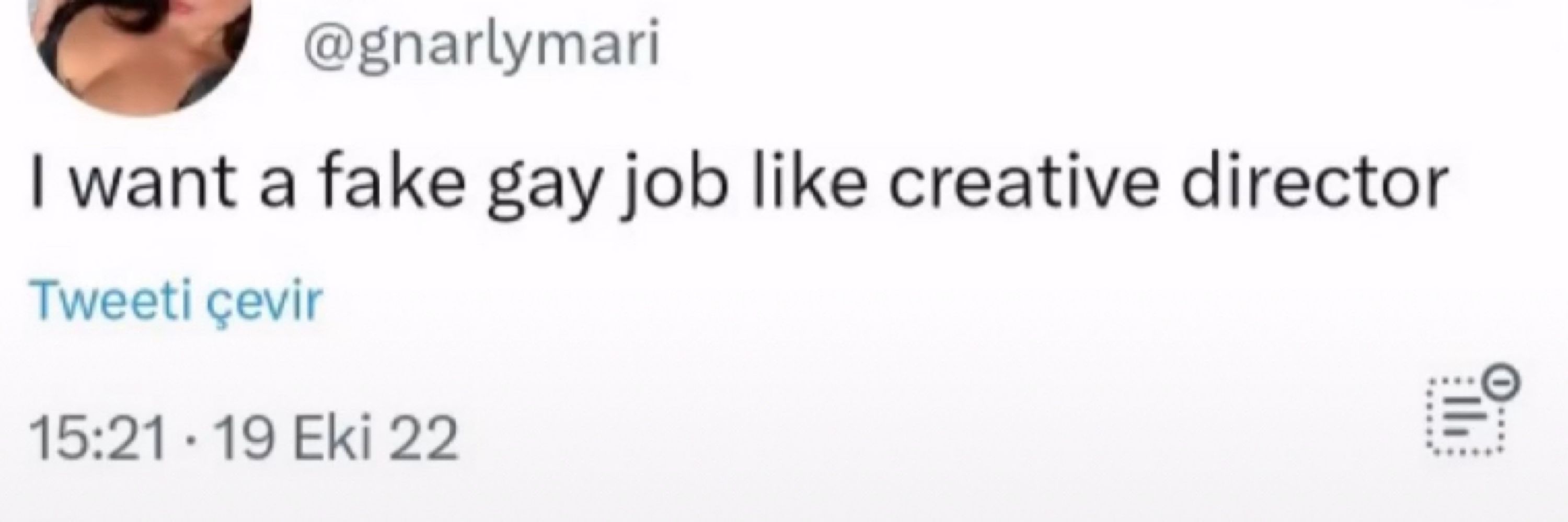 dr maik ryan