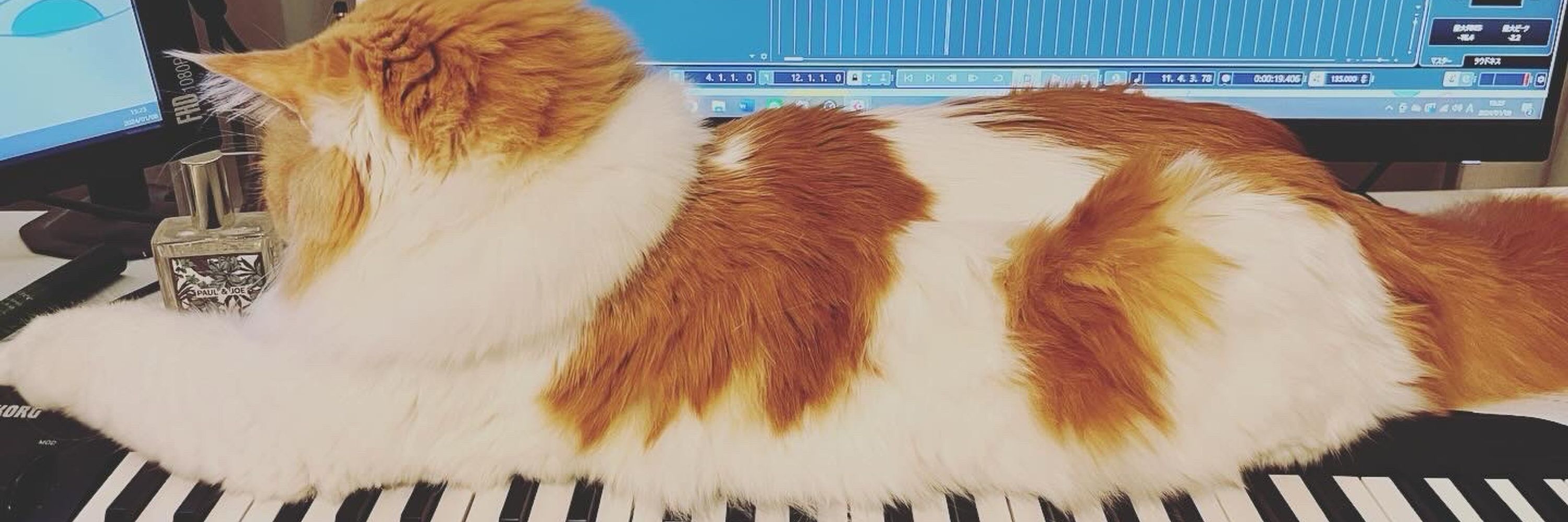 やぎぬまかな