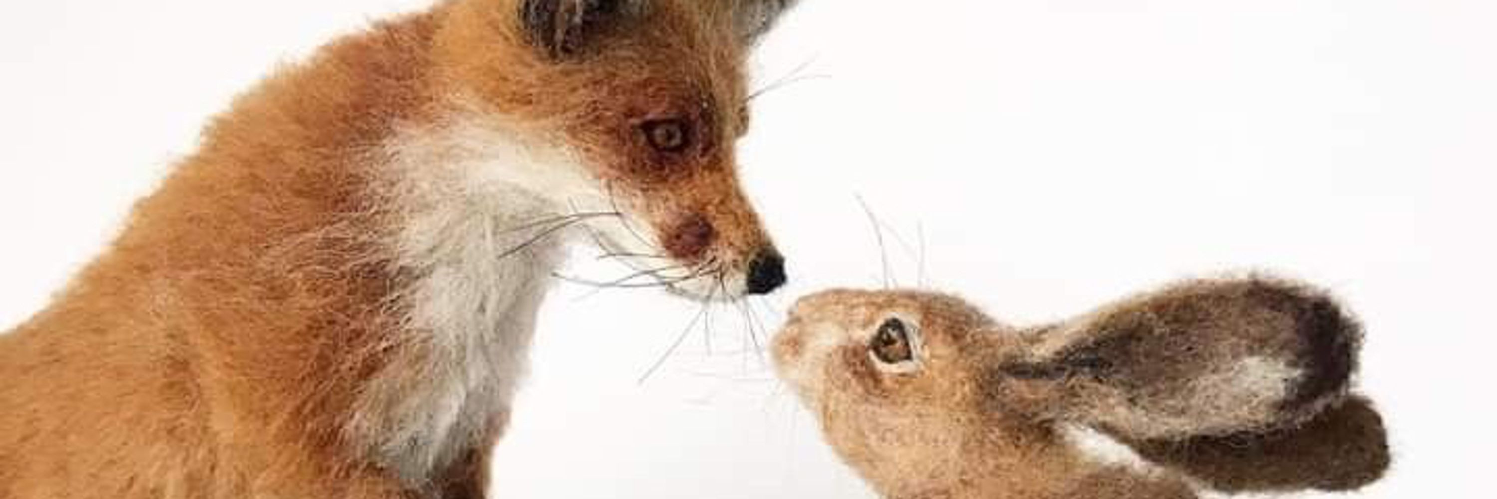 ModFox