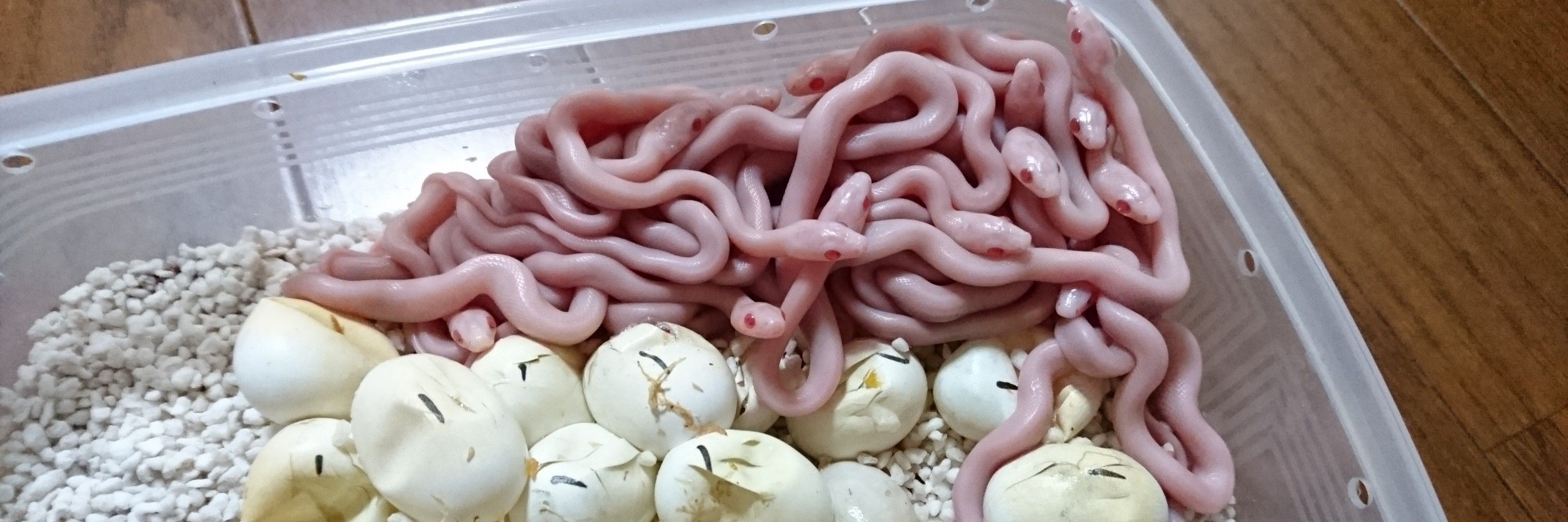 溶岩洞