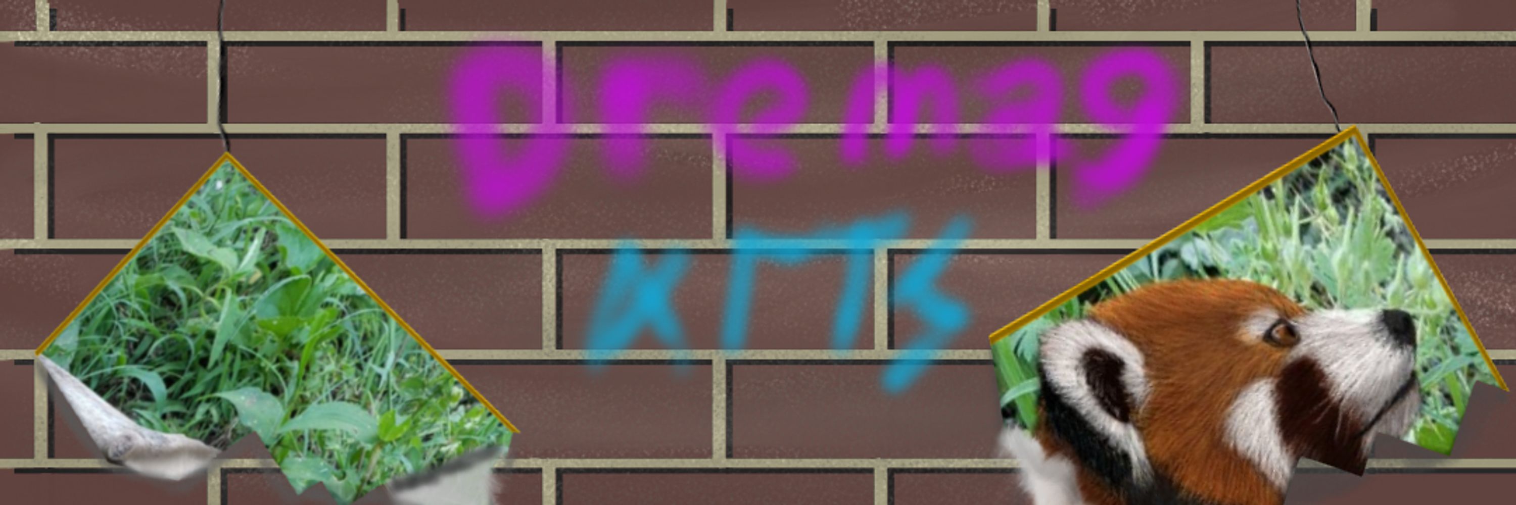 Dremag Artz
