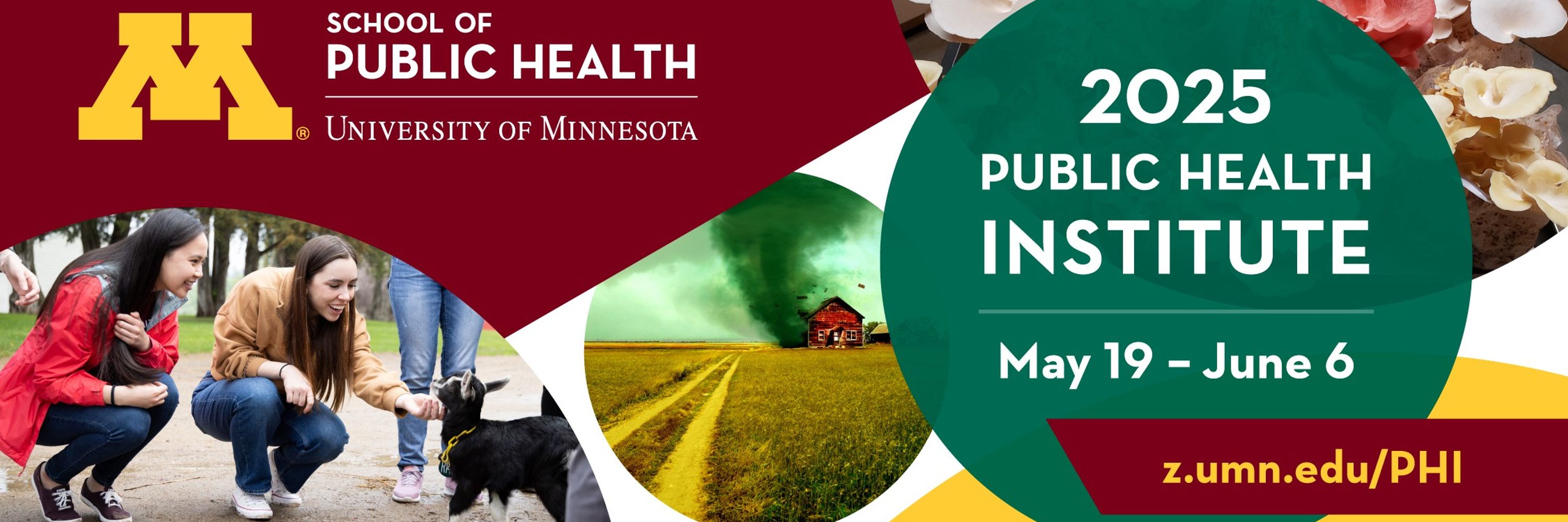 Public Health Institute 