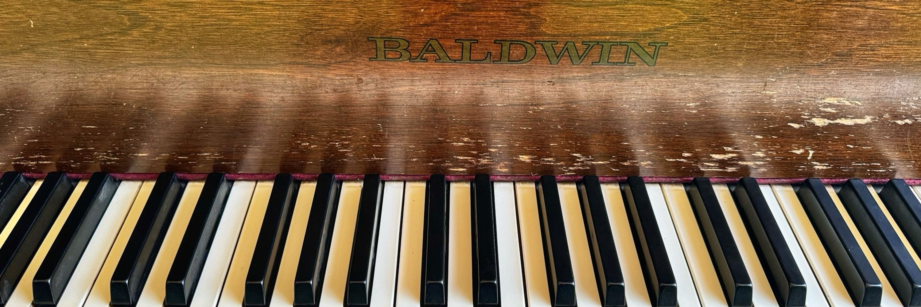 Kitten On The Keys