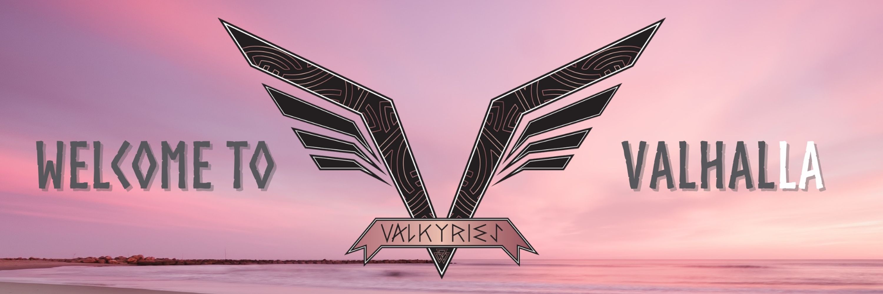 Angel City Valkyries