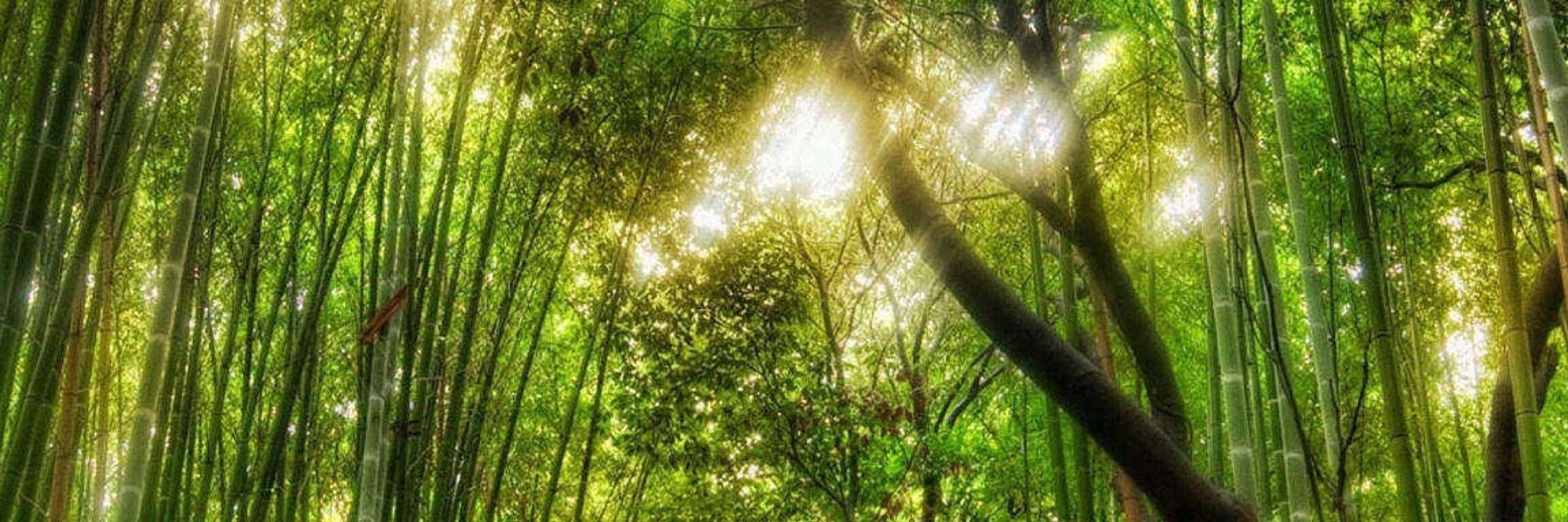 Leafy