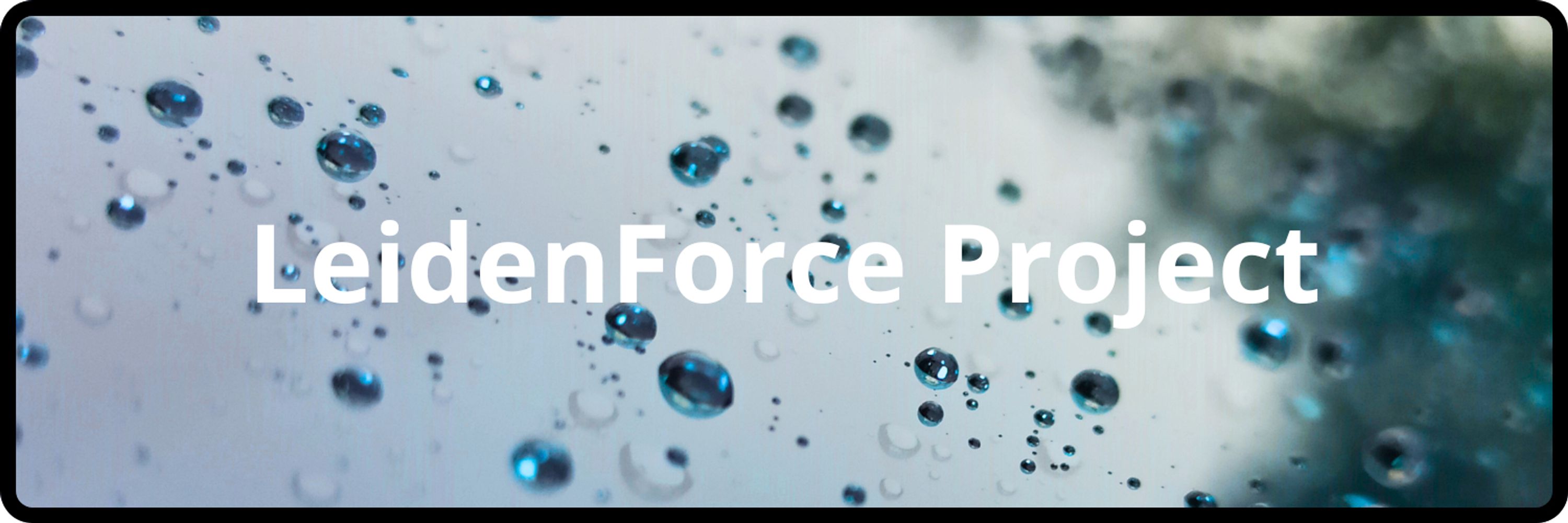 LeidenForce