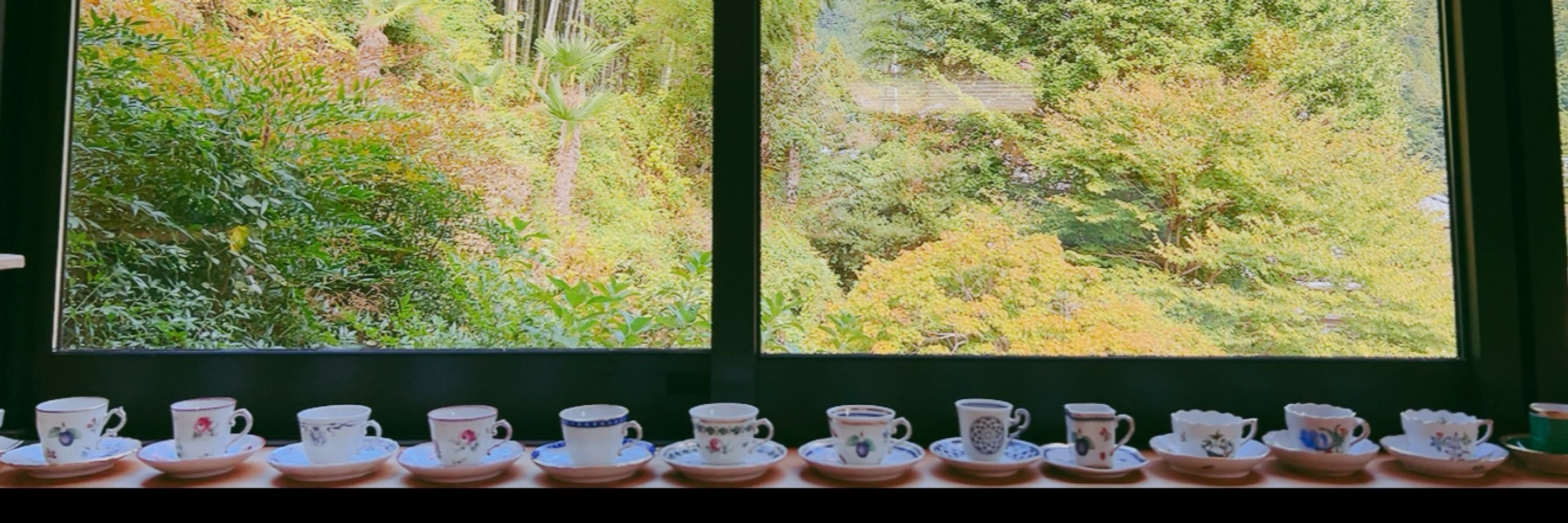 吉永遥佳