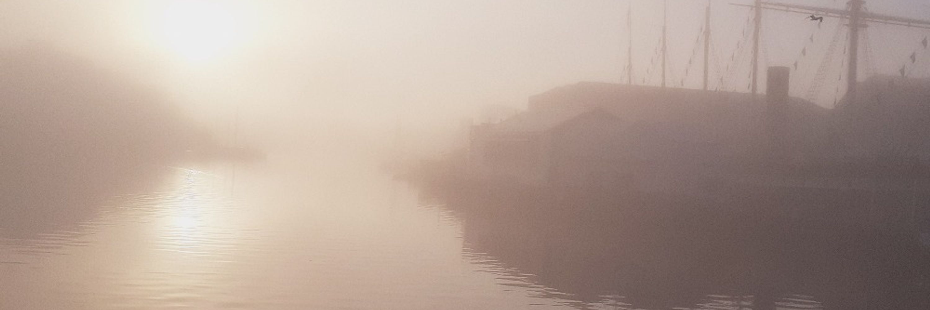 Colin Gavaghan