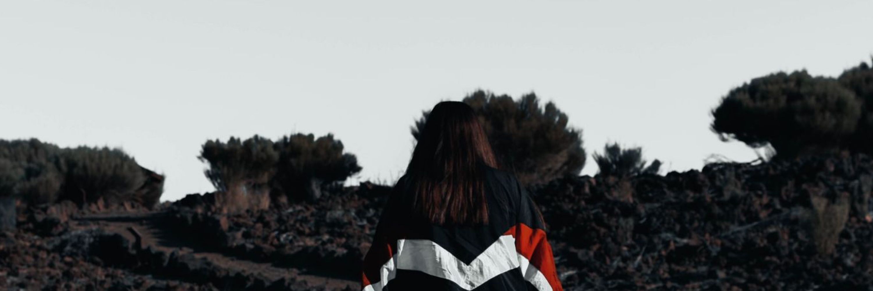 Therpsícore 🔮