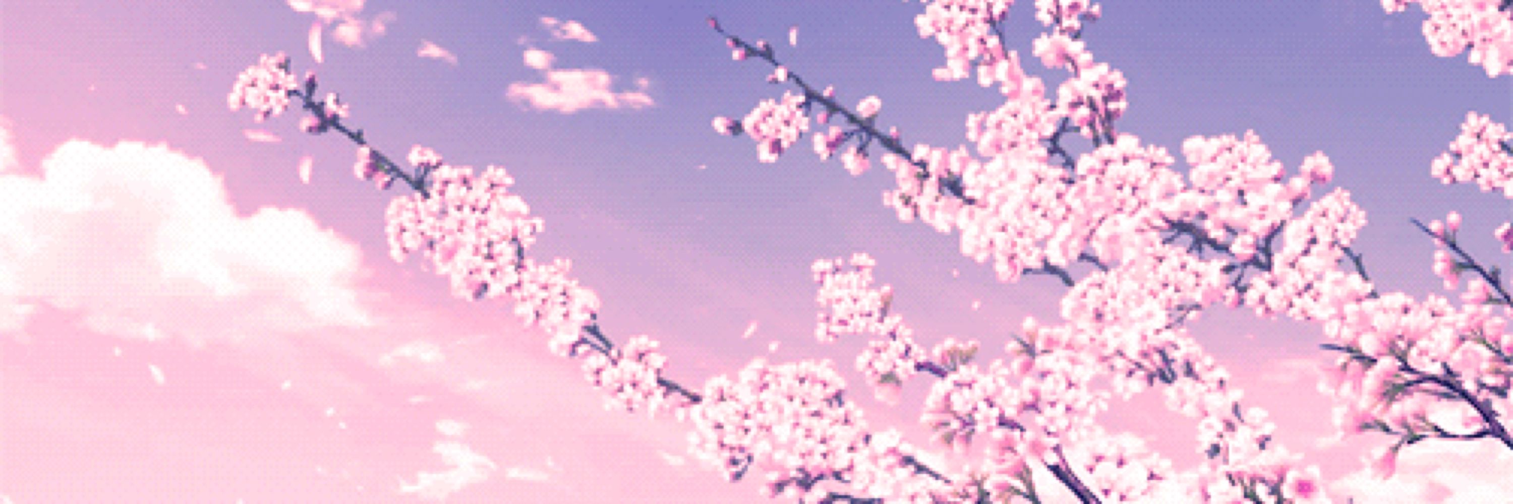Breckleberry ♡
