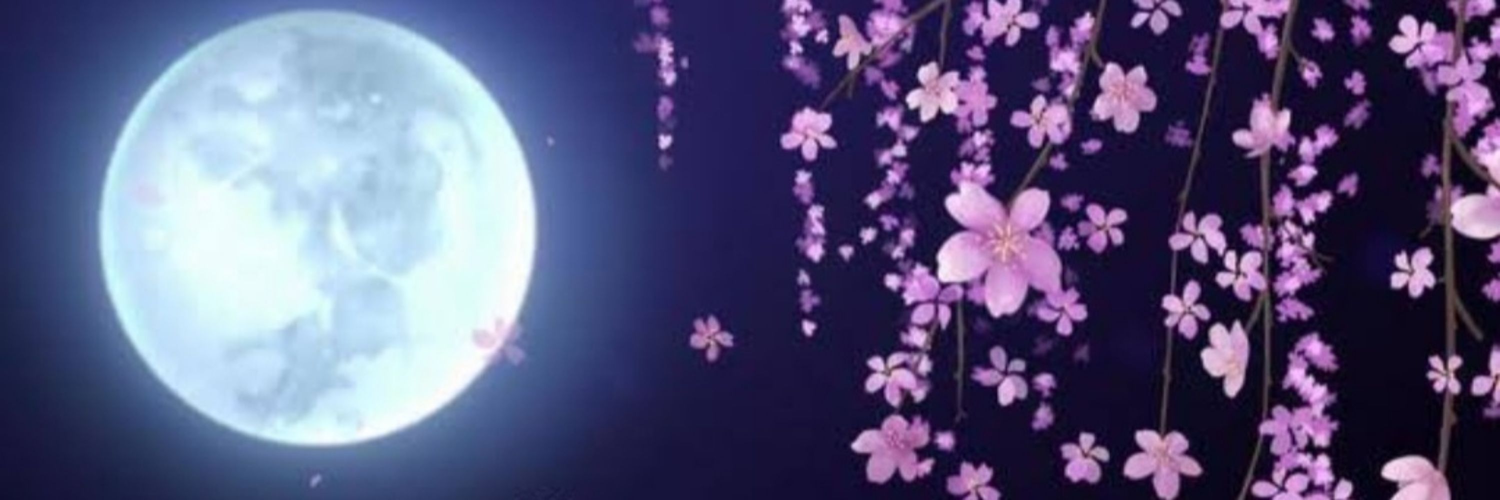 🌸ゆん🌸