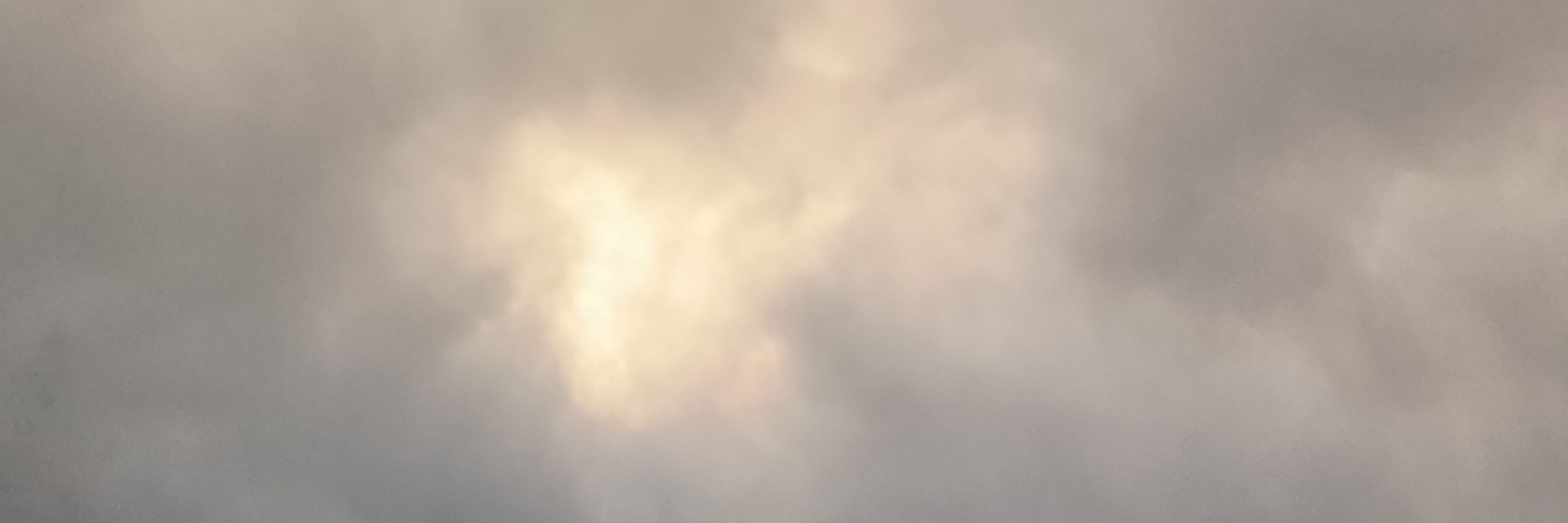 ☀️Felix 🐦‍⬛