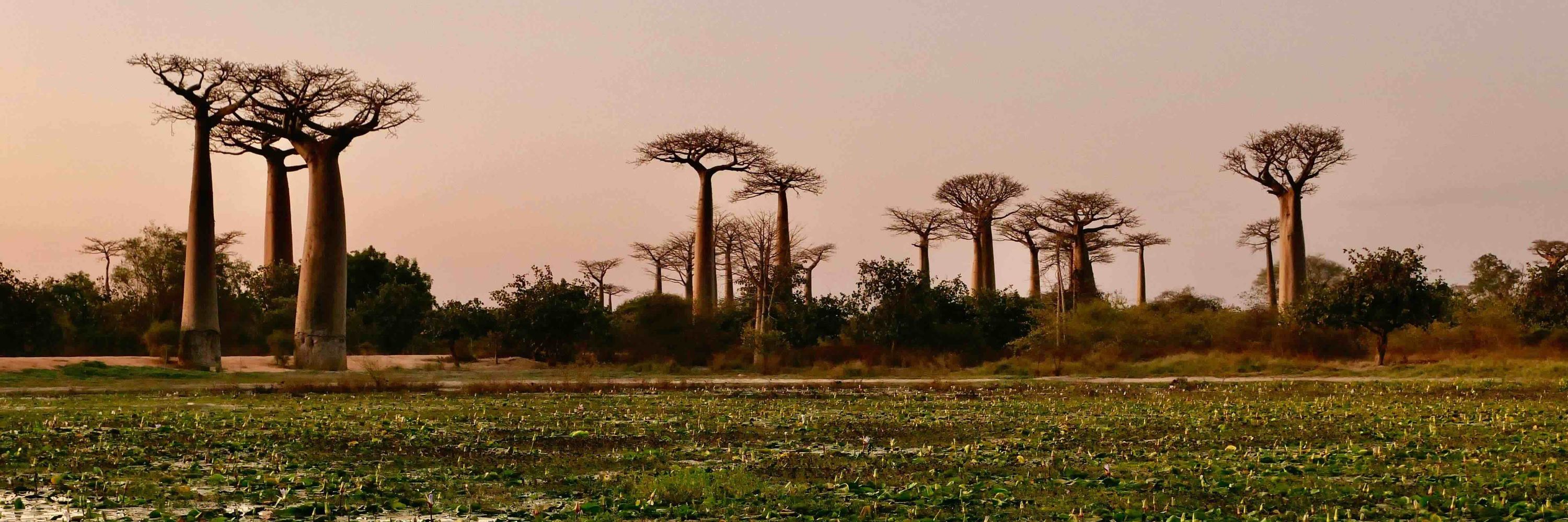 The Conscious Travel Foundation