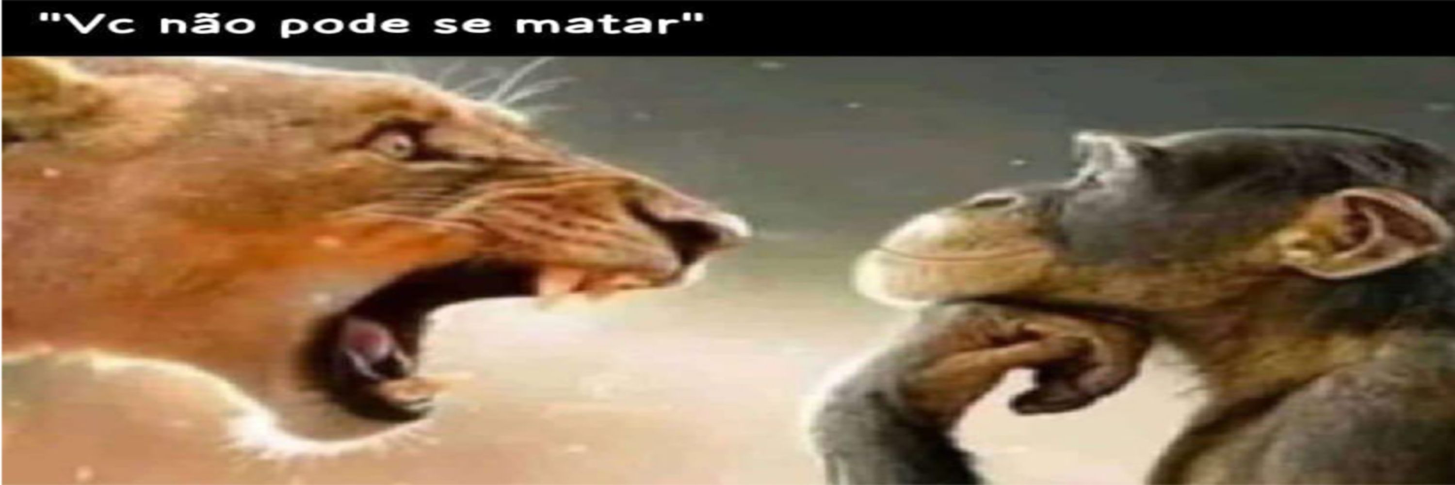 LORO PORRA 