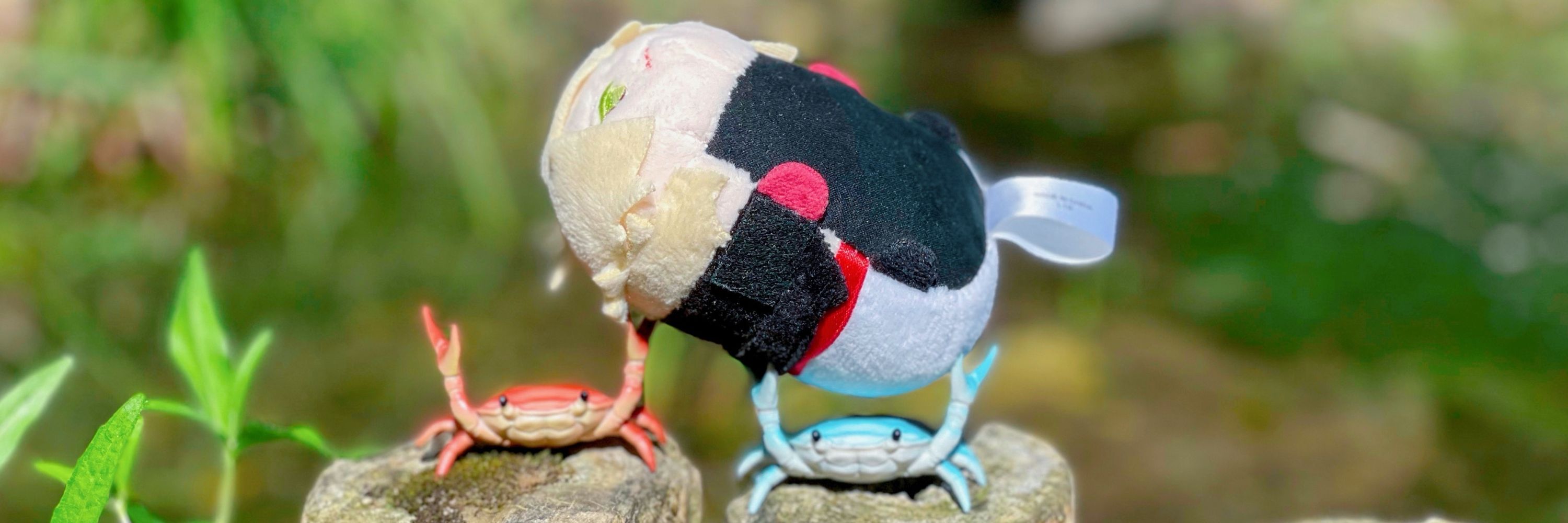 こんぶ