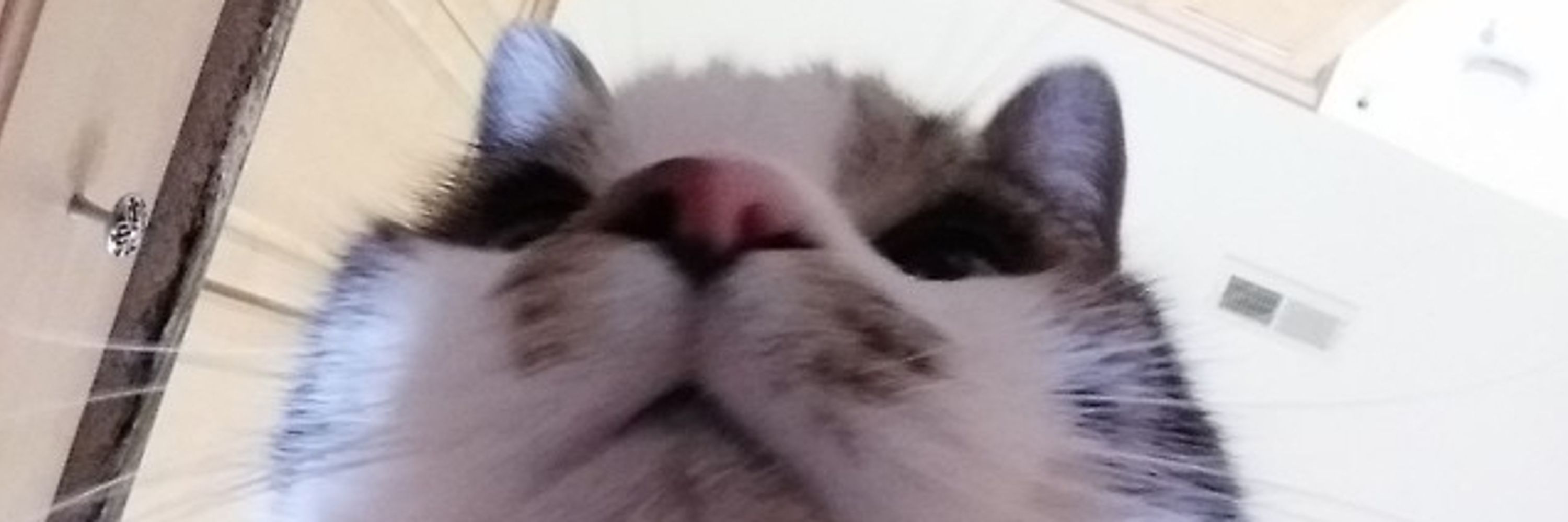 Mister Four Eyes is seeing MCR 8/9