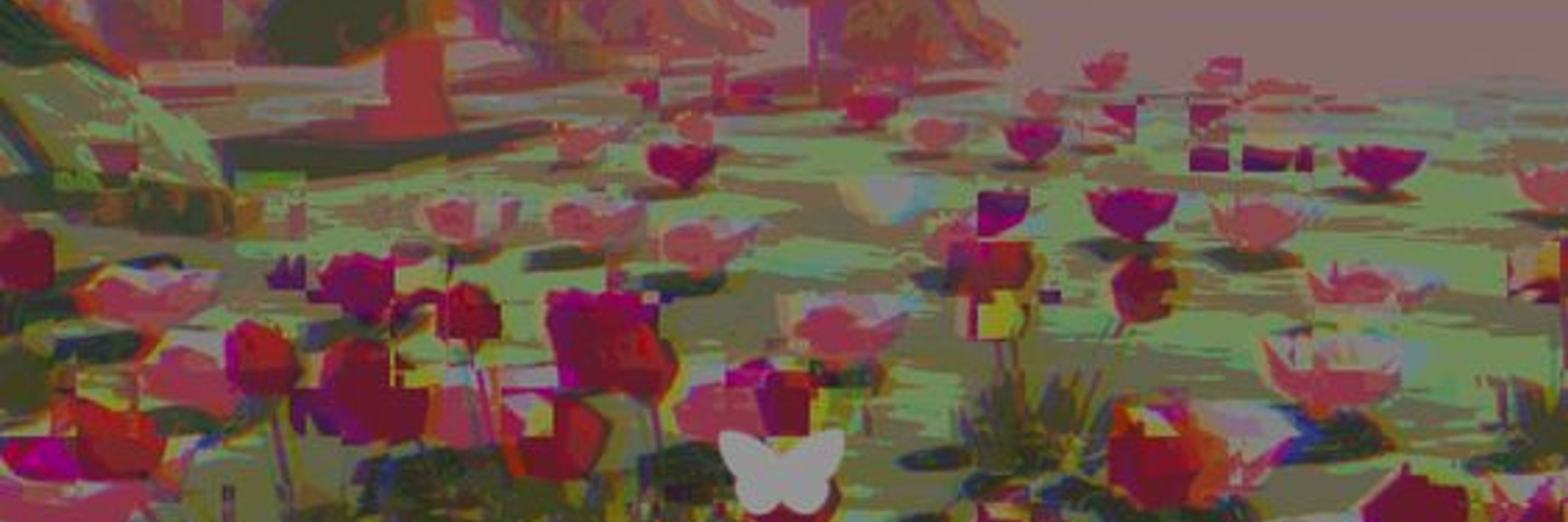 WAKIFOGICU