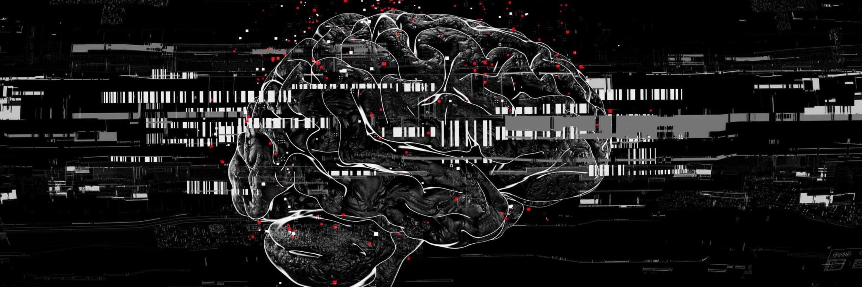 neuro.studio
