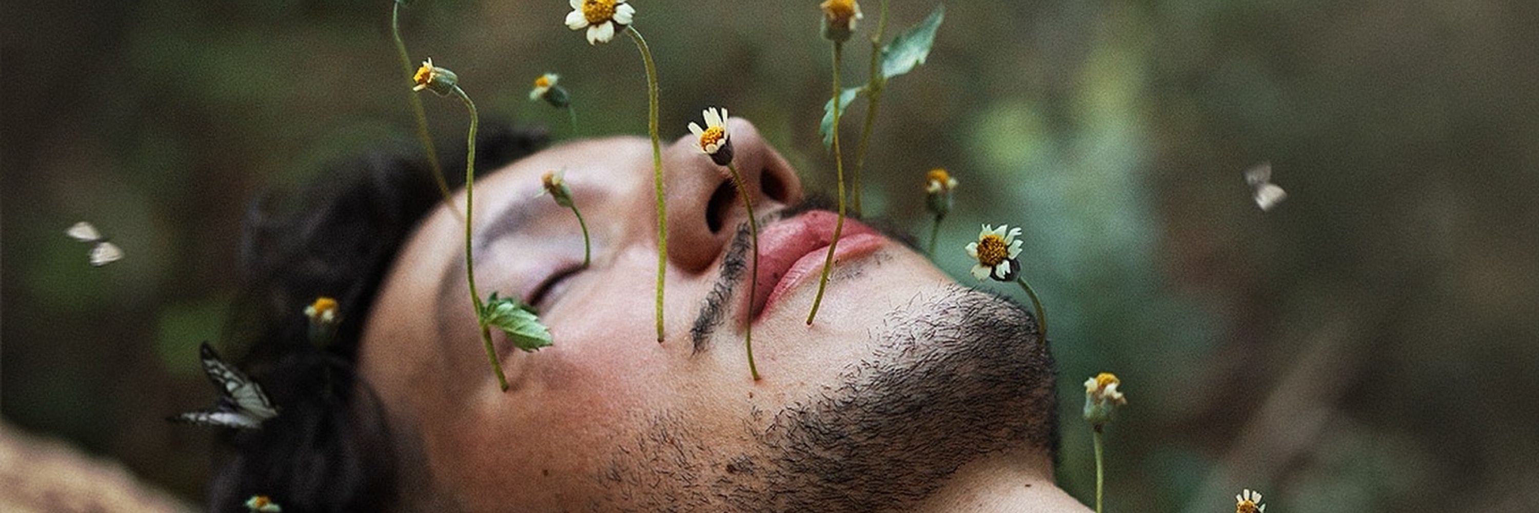 Daniel Serva