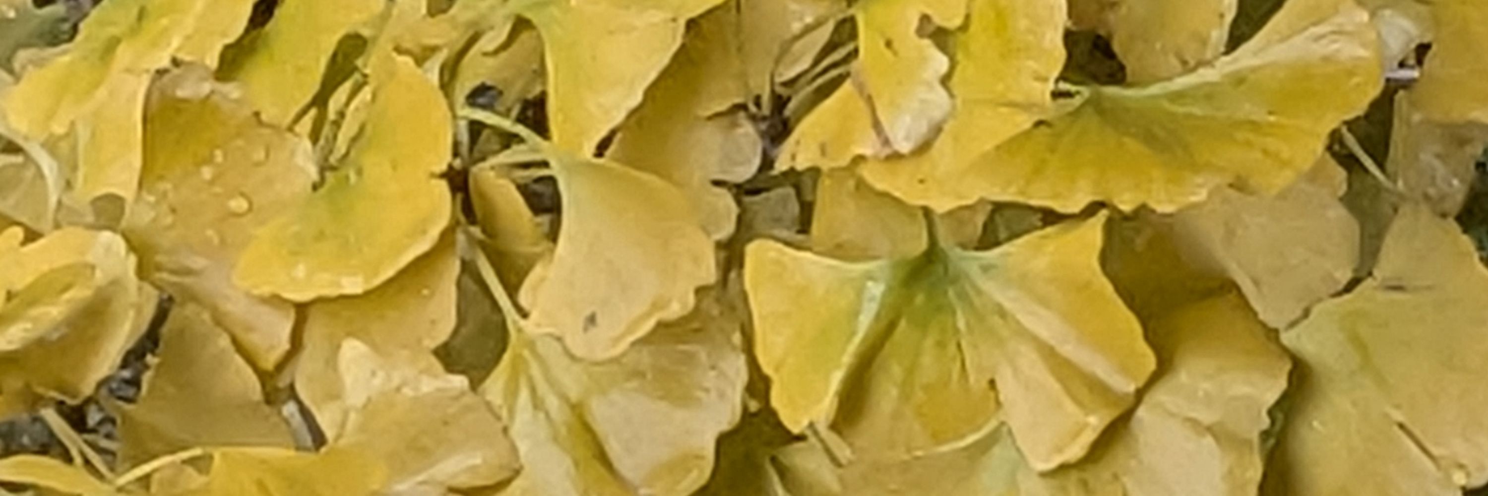 @outofx.bsky.social