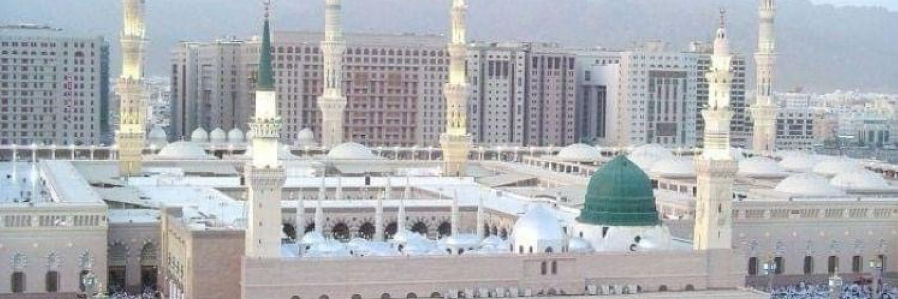 Raja_Mubarik 🌐