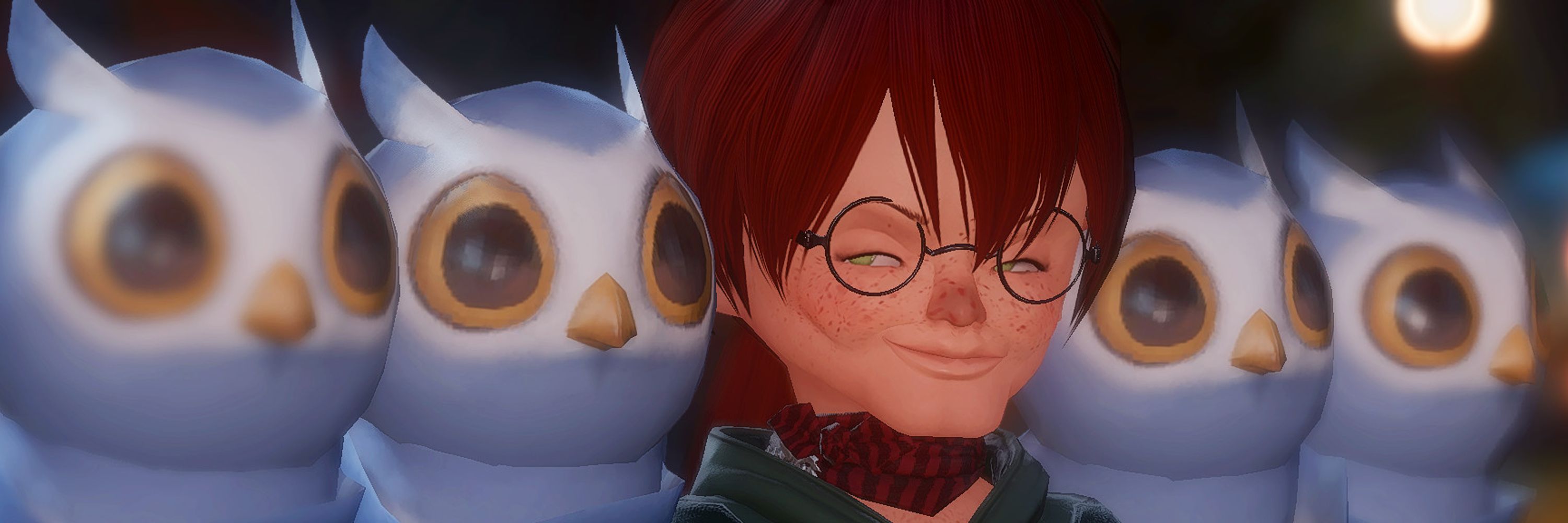 🦉 Definitely not an Owl 🦉