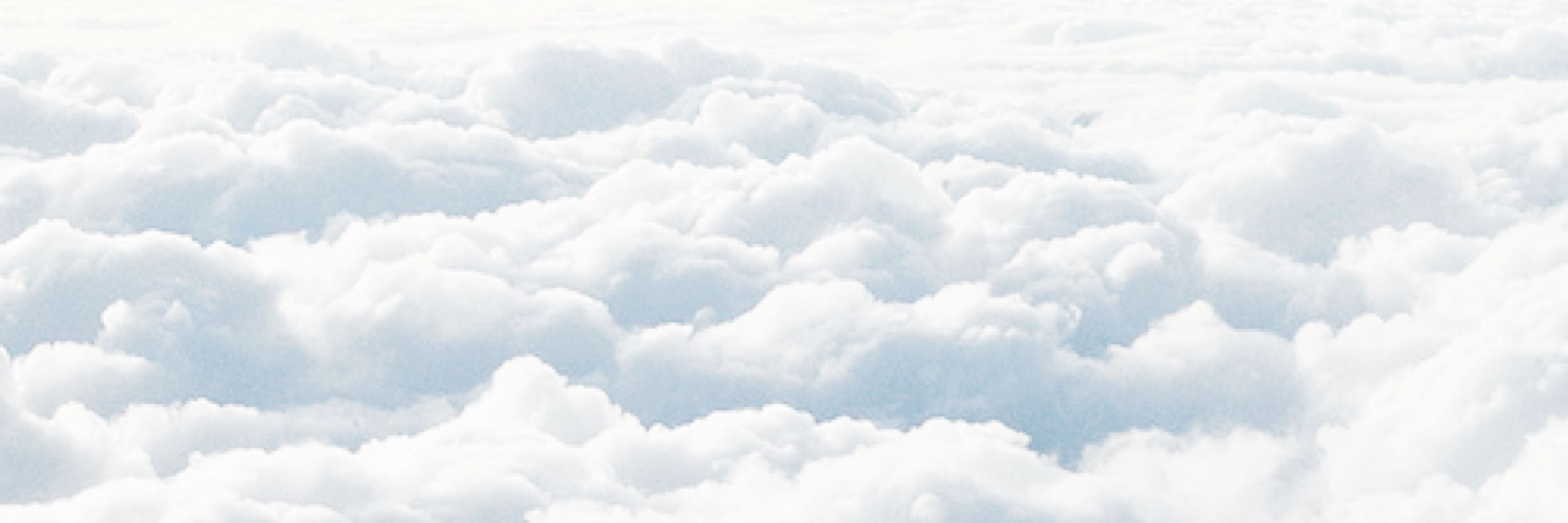 🕊️