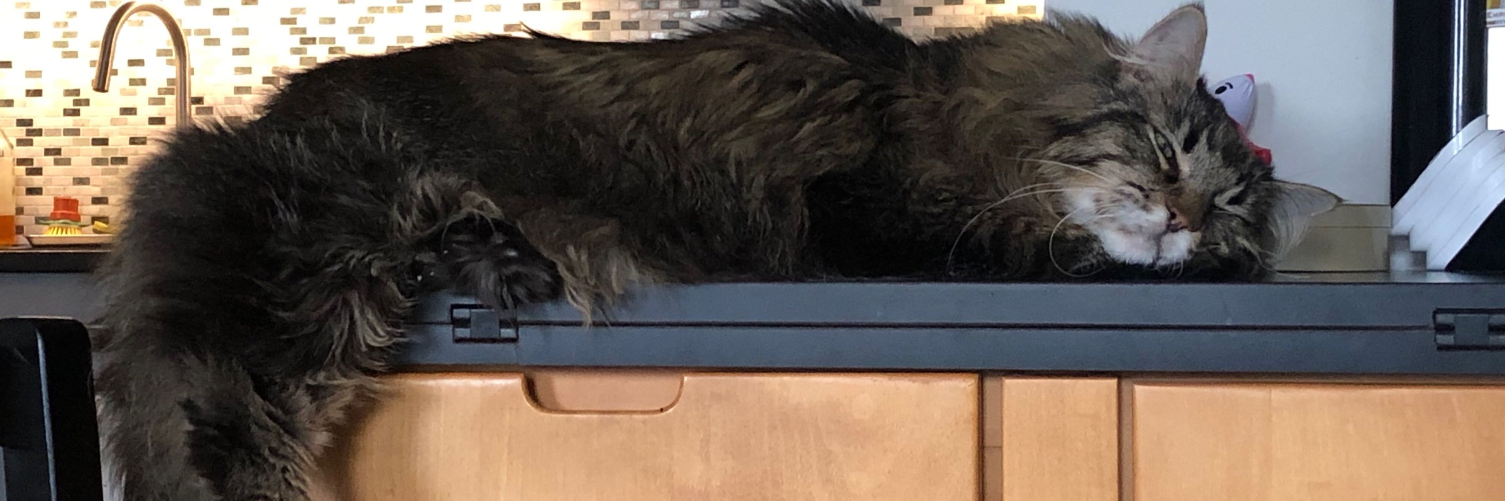 Suzie