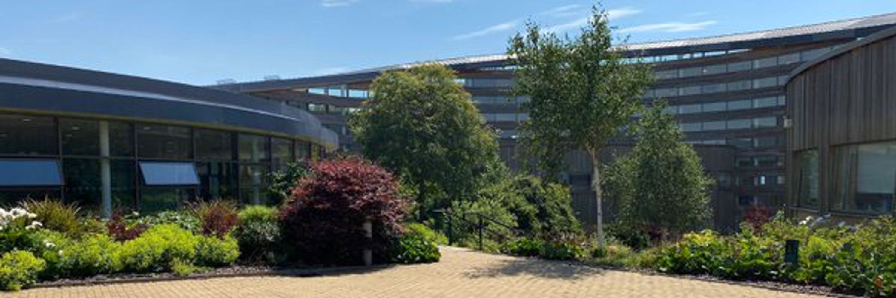 Appleton Academy