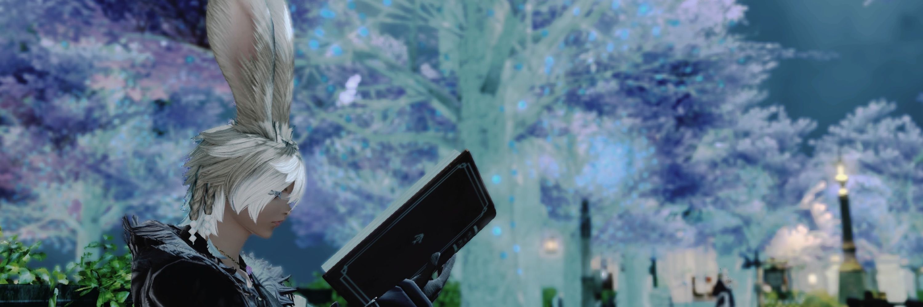 Sakuno_SSRB 🌿