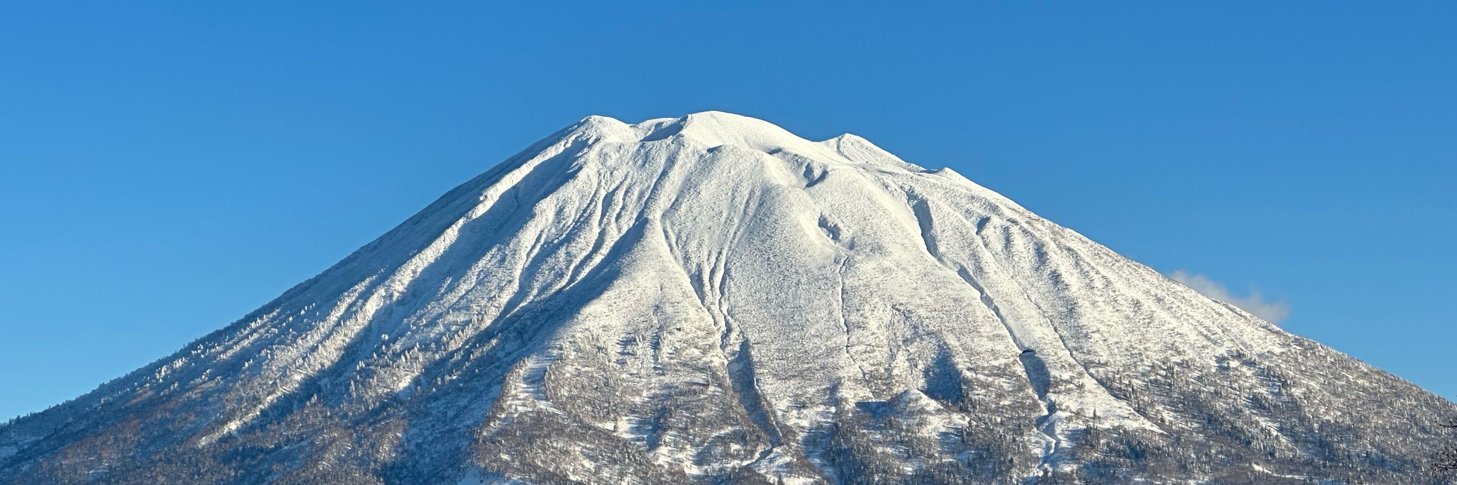 TOGAWA