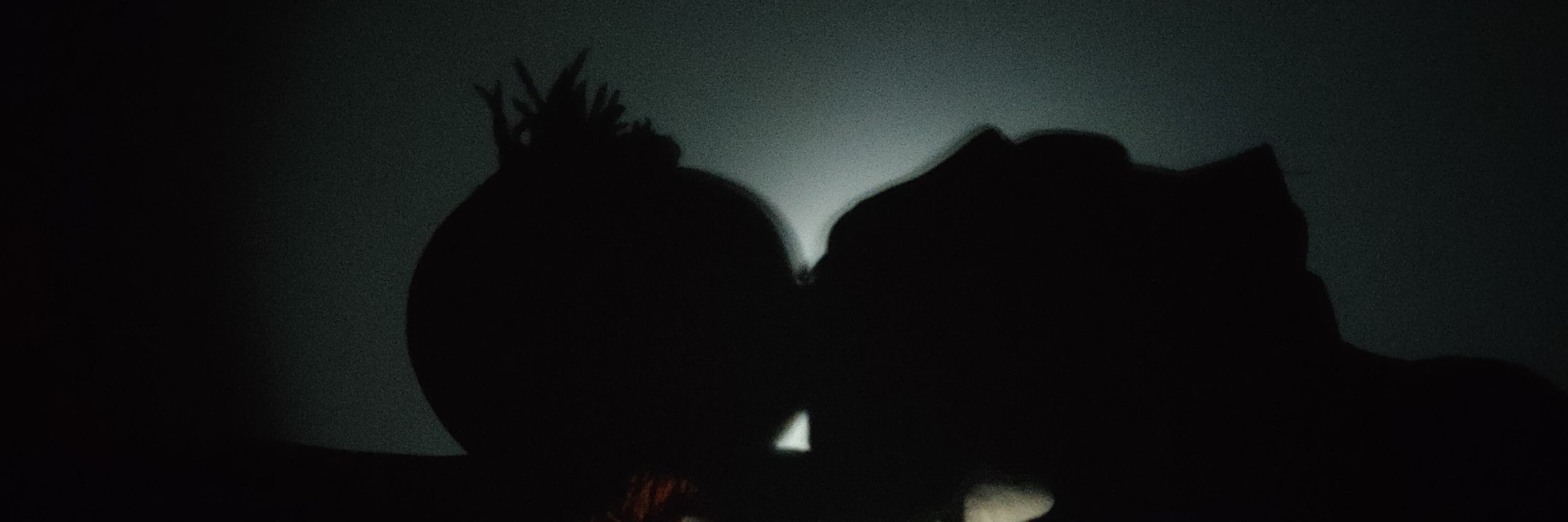 Niko./Ozan